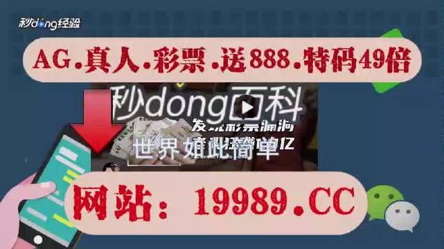 2024澳门特马今晚开奖亿彩网,快速解答计划解析_铂金版11.675