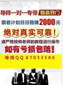 2024年新澳门天天开彩,实践案例解析说明_T15.993