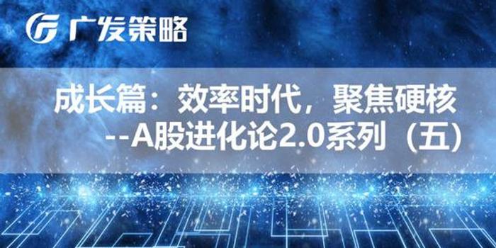 新奥天天精准资料大全,绝对经典解释定义_1440p28.162