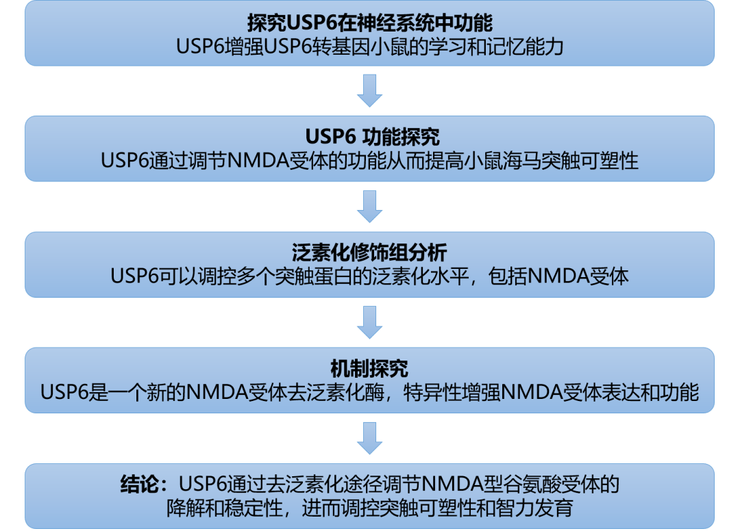 新奥精准资料免费提供,快速响应策略解析_VE版34.938