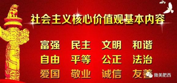 莘县会计招聘信息更新与行业趋势深度剖析